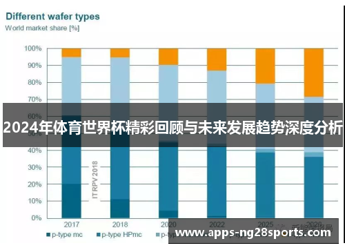 2024年体育世界杯精彩回顾与未来发展趋势深度分析