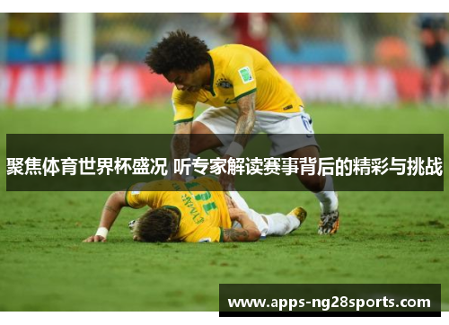 聚焦体育世界杯盛况 听专家解读赛事背后的精彩与挑战