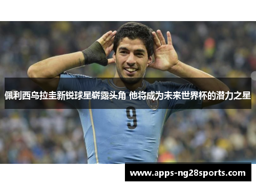 佩利西乌拉圭新锐球星崭露头角 他将成为未来世界杯的潜力之星