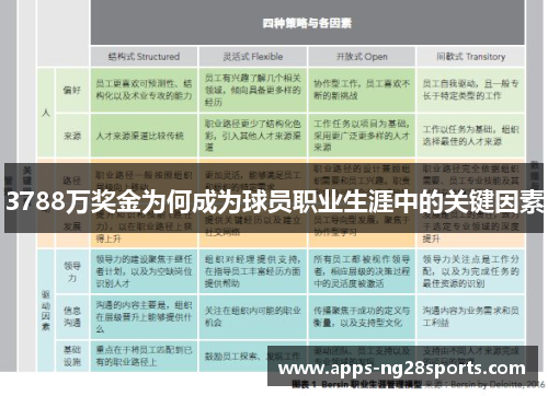 3788万奖金为何成为球员职业生涯中的关键因素